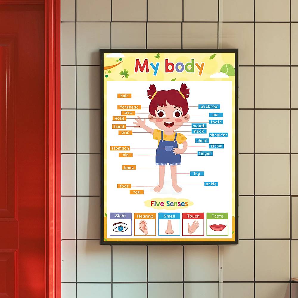 لوحة تعليمية ملونة للأطفال الص - مراجعة Kids Education Charts وسعره